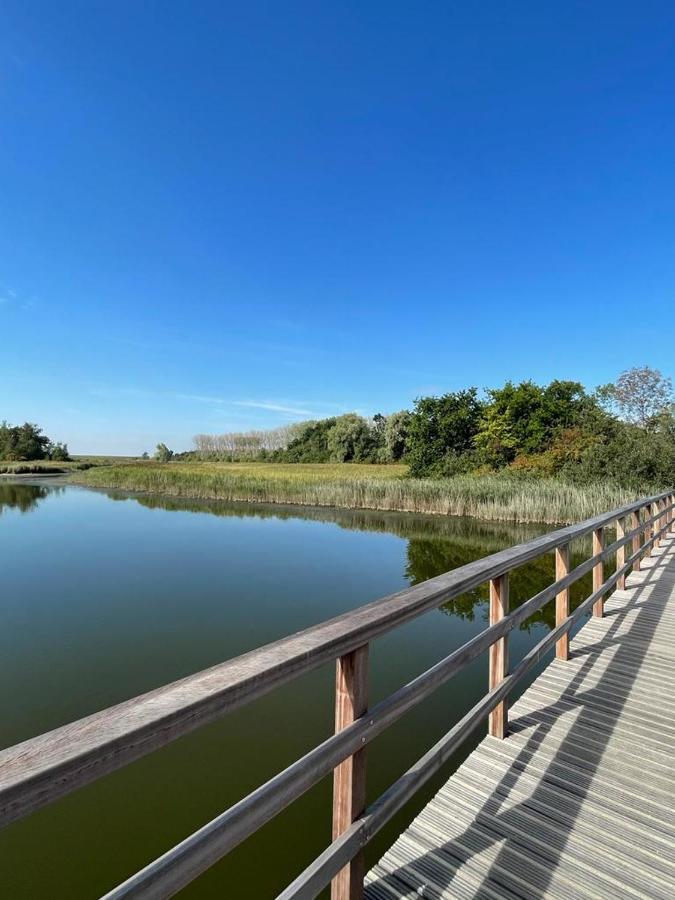 Oosterschelde Lodge Met Veel Privacy En Dicht Bij Het Water Scherpenisse Екстериор снимка