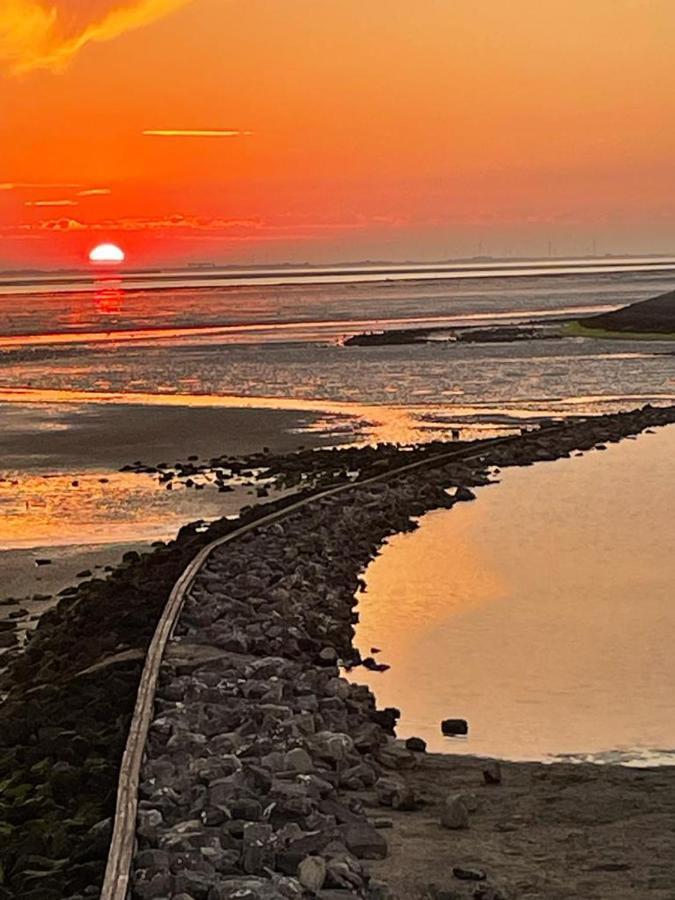 Oosterschelde Lodge Met Veel Privacy En Dicht Bij Het Water Scherpenisse Екстериор снимка