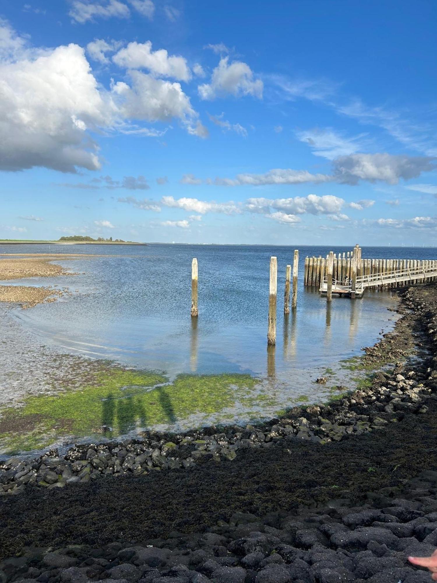 Oosterschelde Lodge Met Veel Privacy En Dicht Bij Het Water Scherpenisse Екстериор снимка